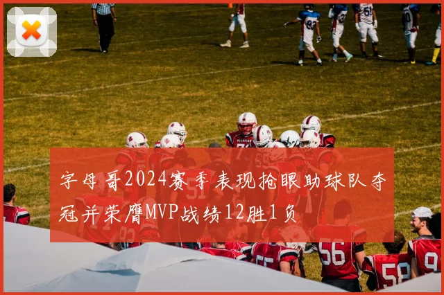 字母哥2024赛季表现抢眼助球队夺冠并荣膺MVP战绩12胜1负
