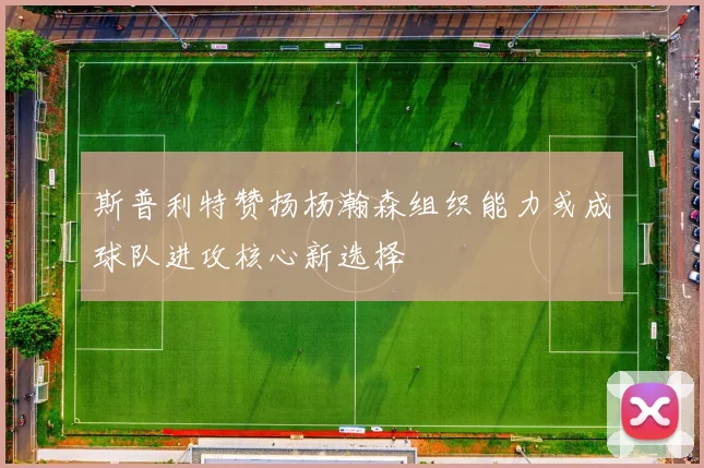 斯普利特赞扬杨瀚森组织能力或成球队进攻核心新选择