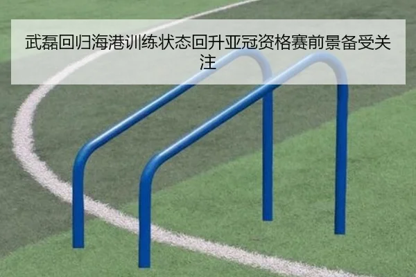 武磊回归海港训练状态回升亚冠资格赛前景备受关注